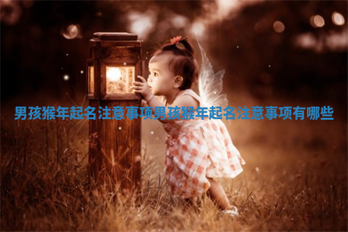 男孩猴年起名注意事项_男孩猴年起名注意事项有哪些